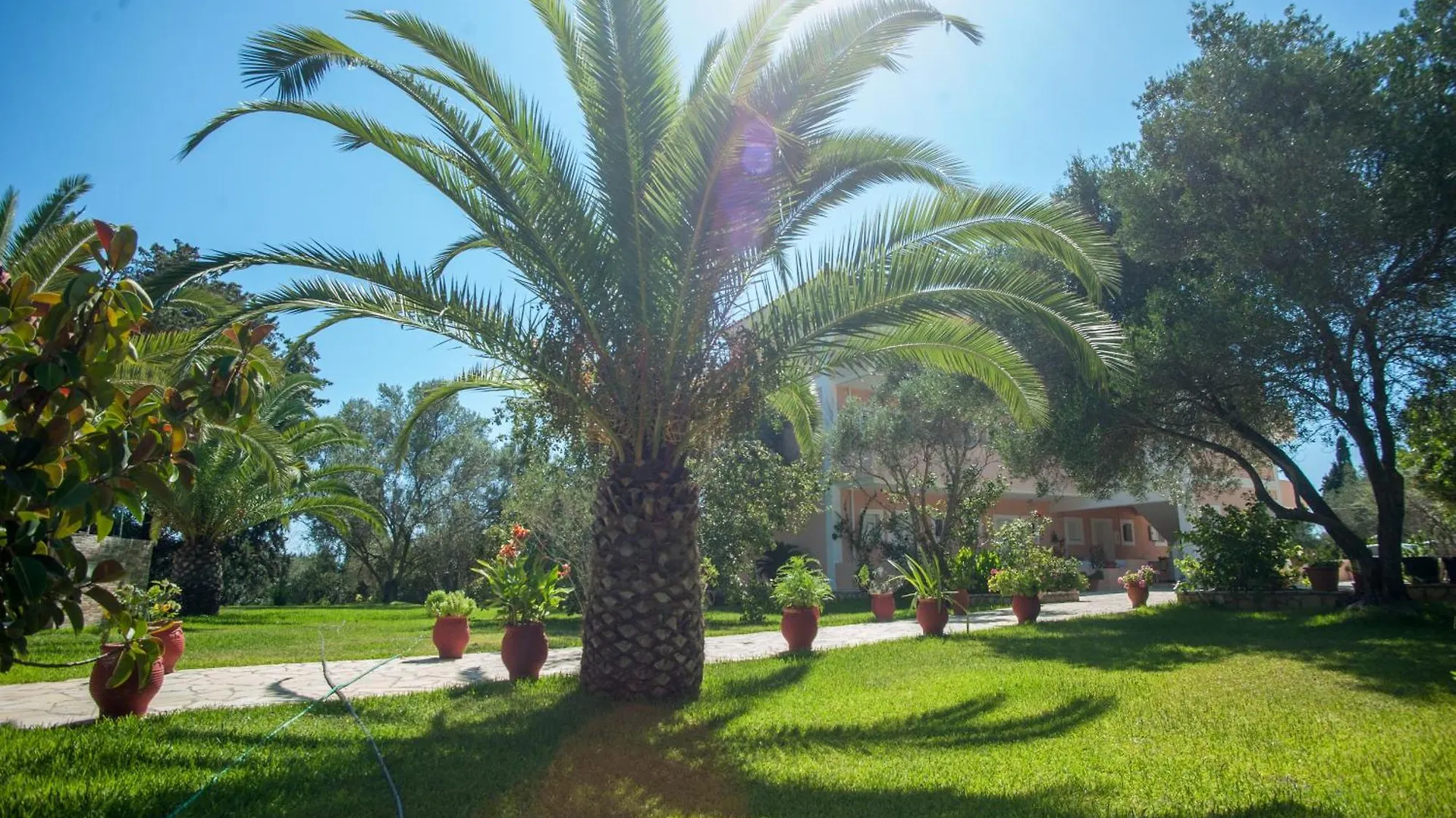 Helena Inn Svoronata Apartment